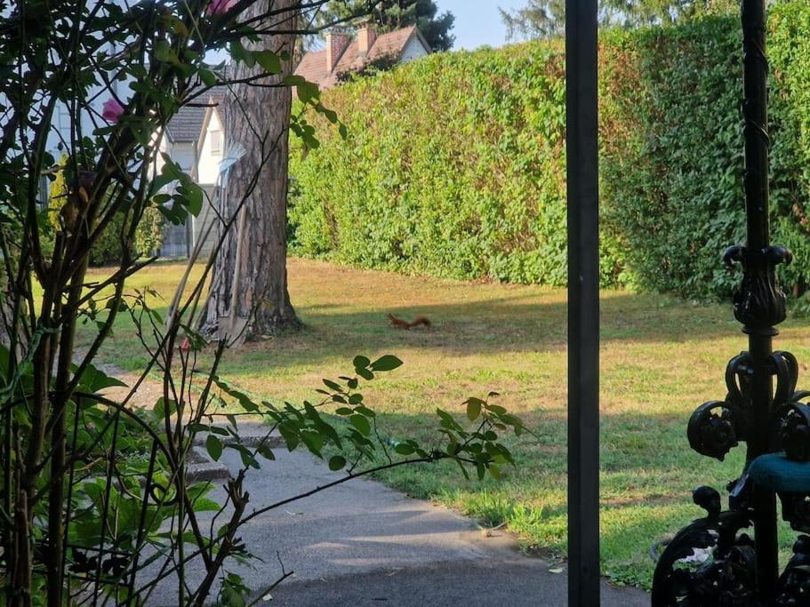 Casa vacanze Haus Mit Garten, U Bahn Naehe, Gratis Parkplaetze *